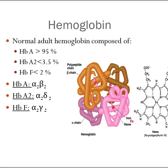 Hemoglobin A2 HbA2